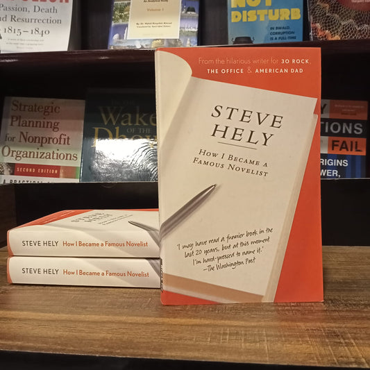 How I Became a Famous Novelist